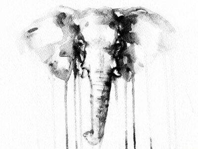 Fototapete Elefant mit Aquarell auf Papier gemalt