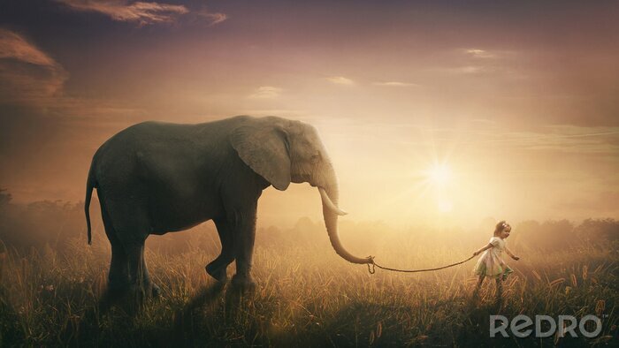 Fototapete Elefant und kleines Mädchen