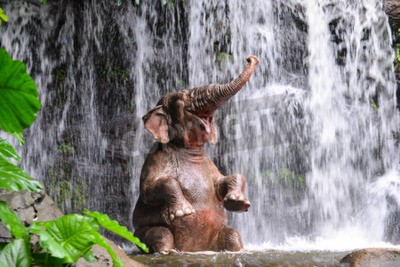 Fototapete Elefant und Wasserfall im Dschungel