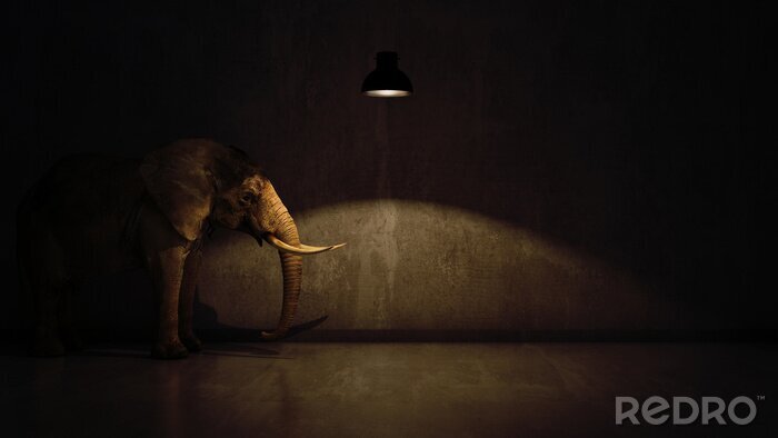 Fototapete Elefant unter einer Lampe