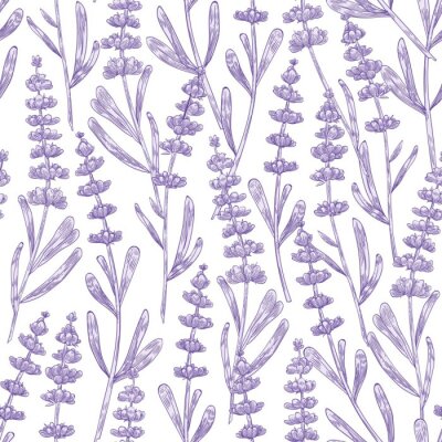 Elegant seamless pattern with lavender flowers hand drawn on white background. Backdrop with meadow flowering plant, blooming wildflower used in aromatherapy. Monochrome botanical vector illustration.