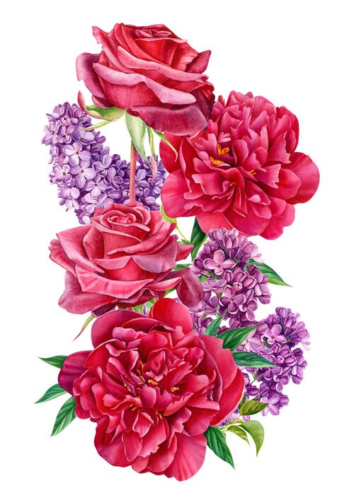 Fototapete Elegante rote Rosen