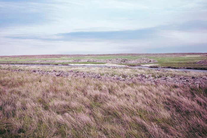 Fototapete Endloses Feld