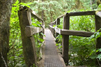 Fototapete Enge Brücke im Wald