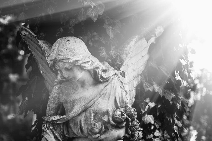 Fototapete Engel in Sonnenstrahlen