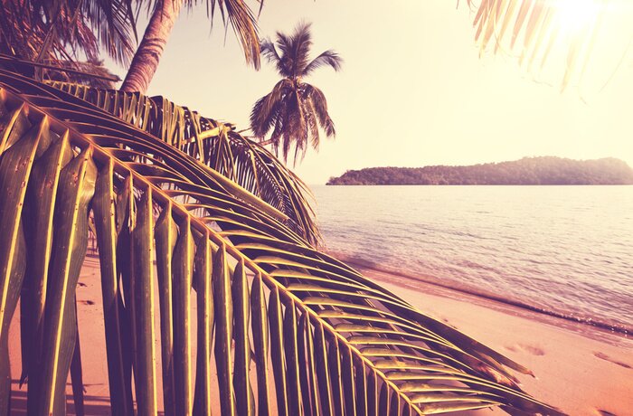 Fototapete Entspannung am tropischen Strand