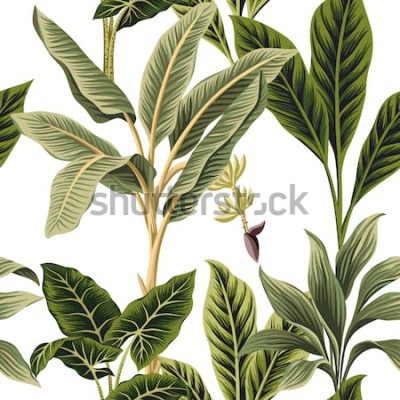 Fototapete Erfrischende grüne Blätter