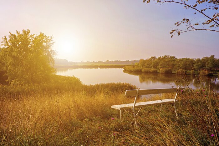 Fototapete Erholung im Park