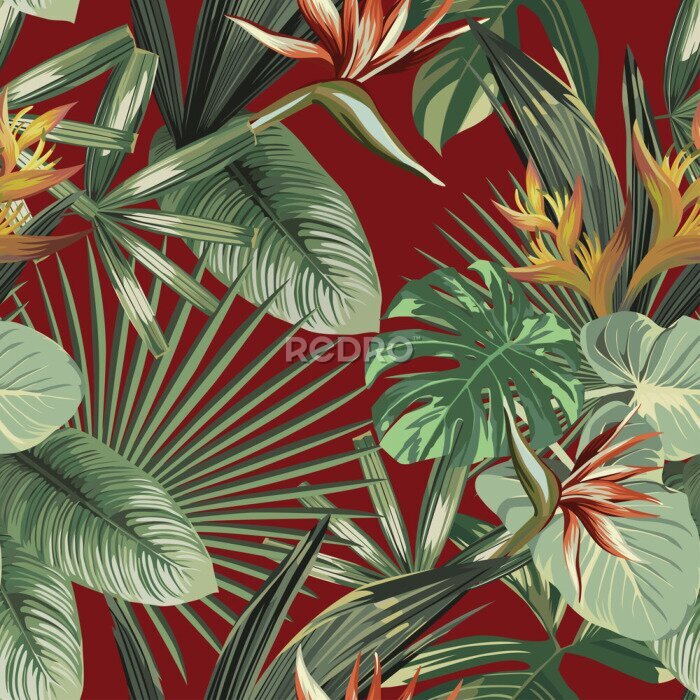 Fototapete Exotic flowers tropical green leaves seamless red background