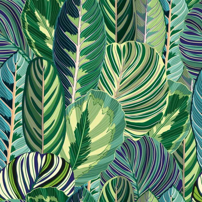 Fototapete Exotische Blätter aus den Tropen