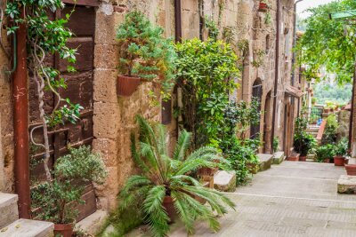 Fototapete Exotische Pflanzen bei Mauern