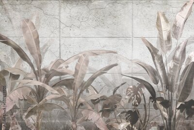 Fototapete Exotische Pflanzen vor dem Hintergrund von Betonplatten