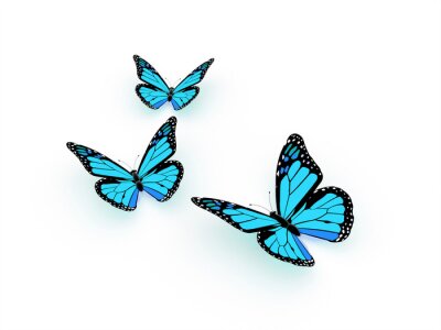 Fototapete Exotische Schmetterlinge auf hellem Hintergrund