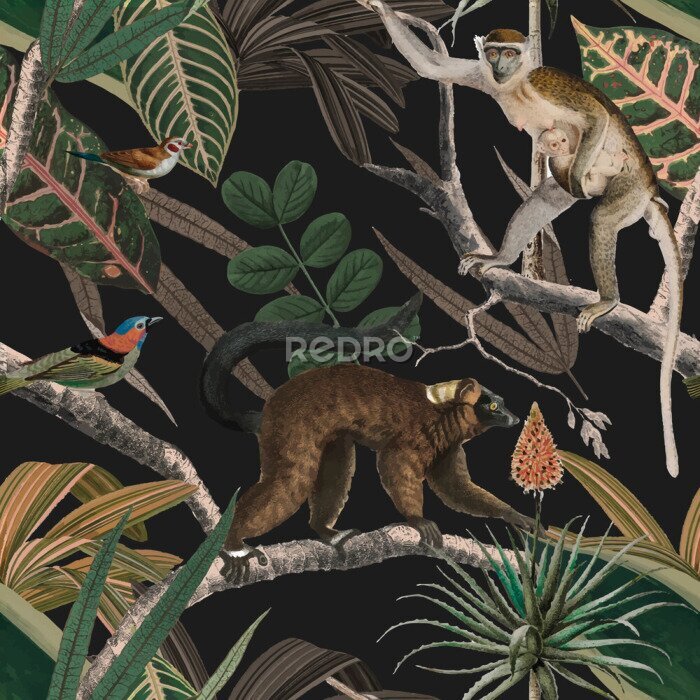 Fototapete Exotisches Design mit Affen inmitten der tropischen Vegetation