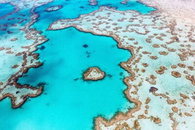 Fototapete Exotisches Korallenriff