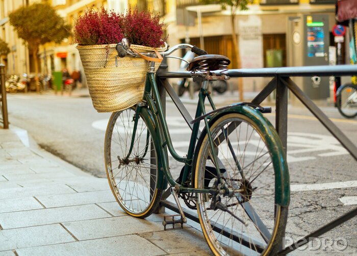 Fototapete Fahrrad in der Stadt mit Blumen