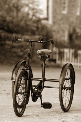 Fototapete Fahrrad in einer Sommerparkanlage