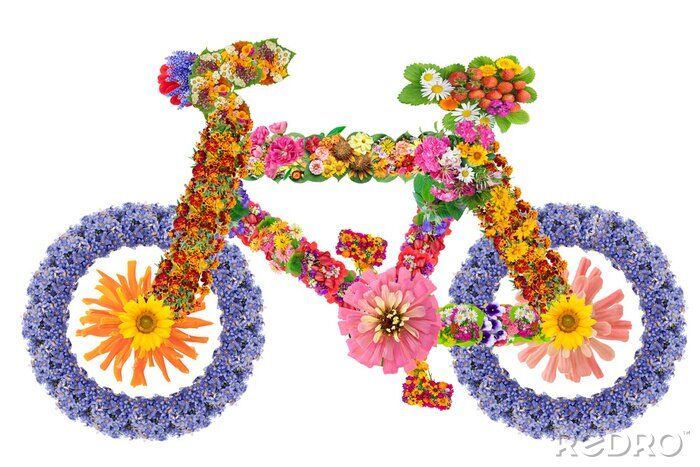 Fototapete Fahrrad mit bunten Blumen