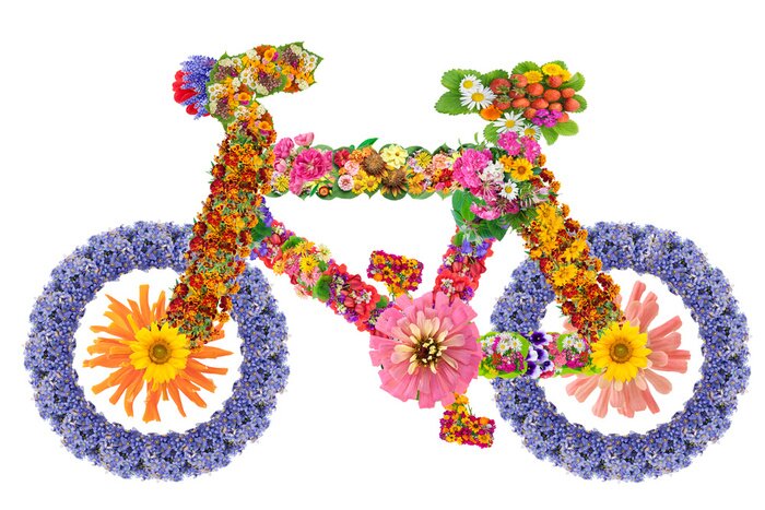 Fototapete Fahrrad mit bunten Blumen