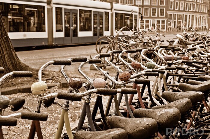 Fototapete Fahrradverleih in Amsterdam