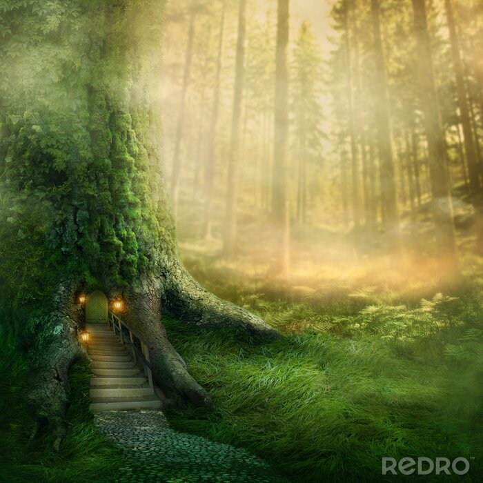 Fototapete Fantasy-Grafiken mit Wald
