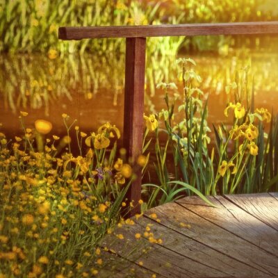 Fantasy-Teich mit gelben Blumen