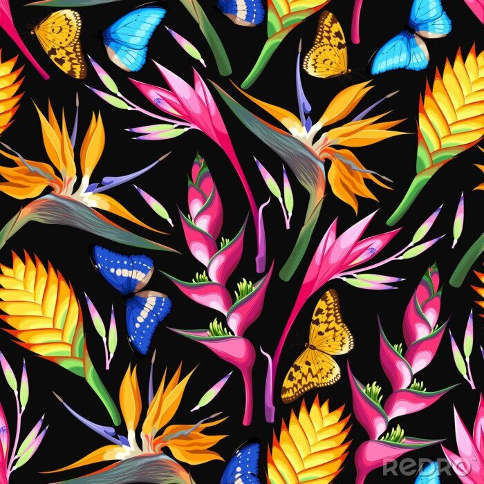 Fototapete Farben der Tropen