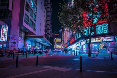 Farbenfrohe Nachtschilder in Tokyo