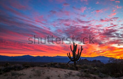 Fototapete Farbenfroher Sonnenuntergang in der Wüste