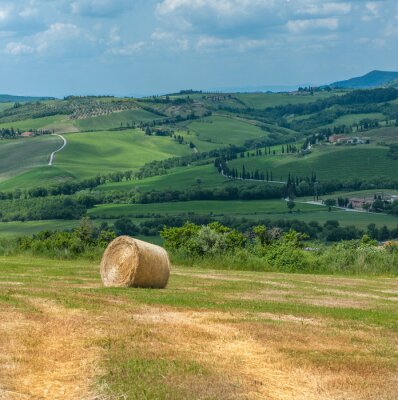 Feld in der Toskana