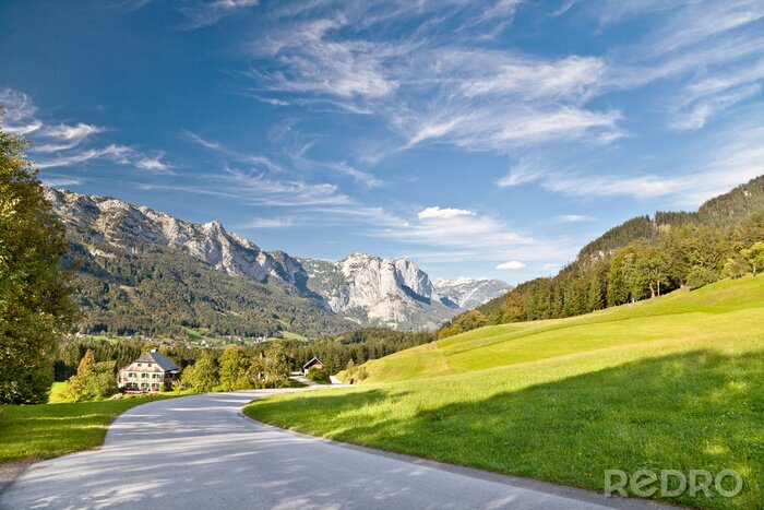 Fototapete Feld und Alpengebirge