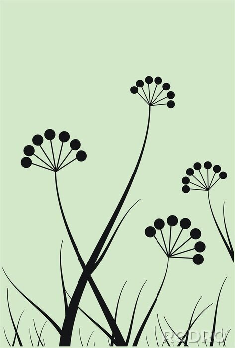 Fototapete Feldblumen auf mintfarbenem Hintergrund