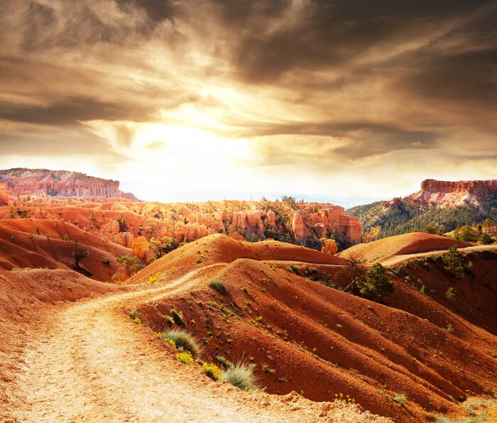 Fototapete Felder auf den Hügeln