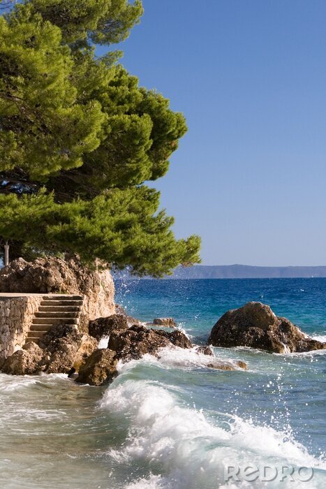 Fototapete Fels und Natur