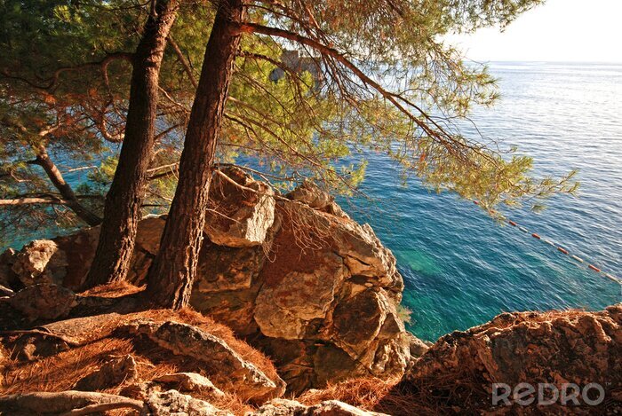 Fototapete Felsen mit Bäumen am Wasser