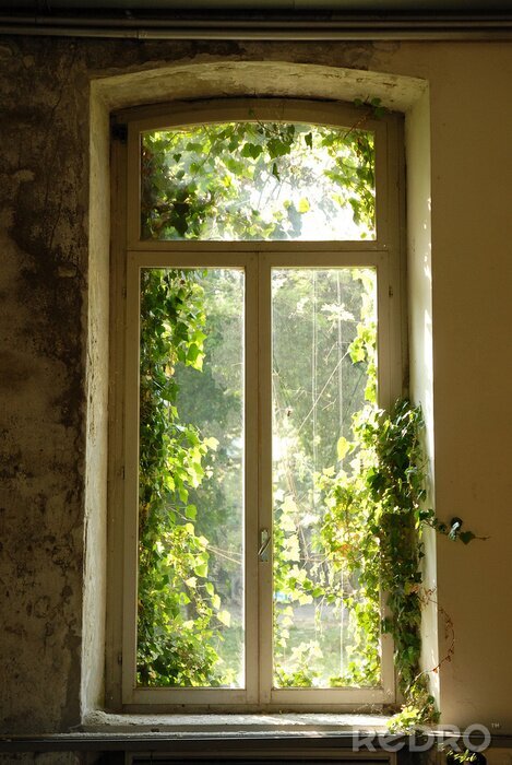 Fototapete Fenster im verlassenen Haus