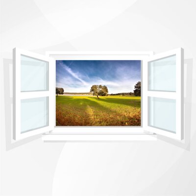Fototapete Fenster mit ausblick auf feld