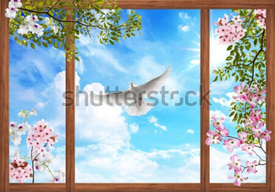 Fototapete Fenster mit Blick auf blühende Zweige und eine weiße Taube