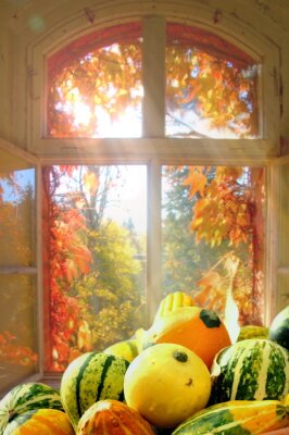Fototapete Fenster mit Blick auf herbstliches Laub