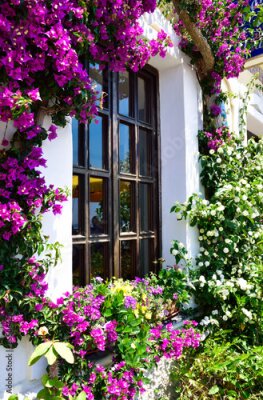 Fototapete Fenster mit blumen petunien