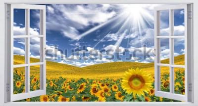 Fototapete Fenster mit Sonnenblumen