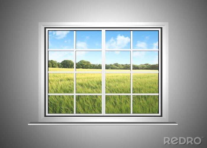 Fototapete Fenster und wiese