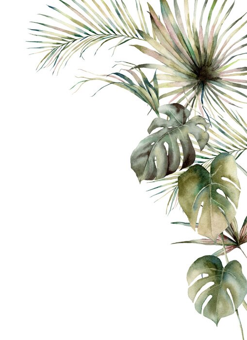 Fototapete Fensterblatt und Palmen