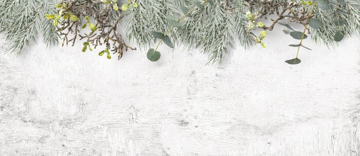 Fototapete Fichte auf weißem Hintergrund