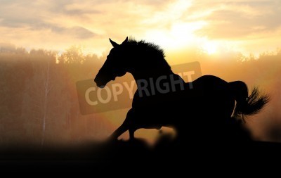Fototapete Figur eines pferdes am bedeckten himmel