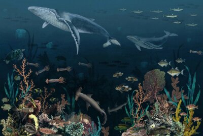 Fototapete Fische auf dem Meeresboden