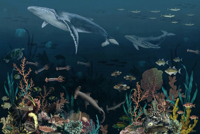 Fototapete Fische auf dem Meeresboden