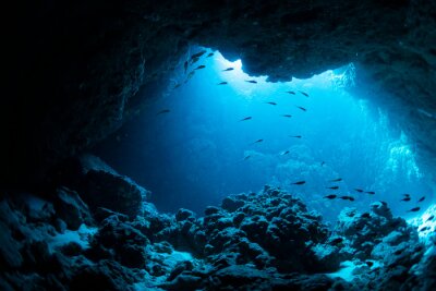 Fototapete Fische, die eine dunkle Höhle betreten