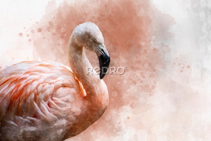 Fototapete Flamingo auf Aquarell-Hintergrund