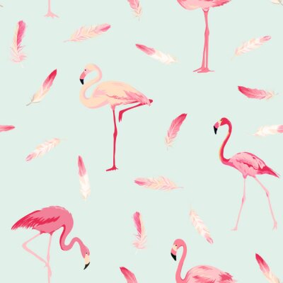 Flamingo Federn